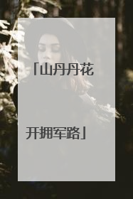 山丹丹花开拥军路