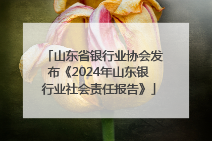 山东省银行业协会发布《2024年山东银行业社会责任报告》