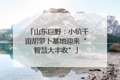 山东巨野：小镇千亩胡萝卜基地迎来“智慧大丰收”