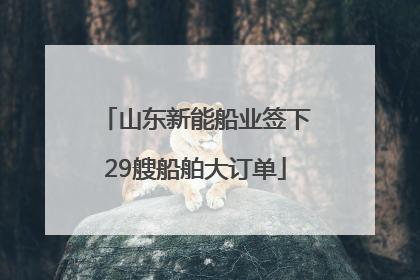 山东新能船业签下29艘船舶大订单