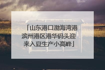 山东港口渤海湾港滨州港区港华码头迎来入夏生产小高峰