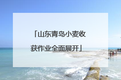 山东青岛小麦收获作业全面展开
