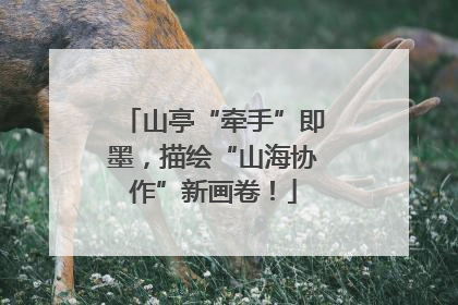 山亭“牵手”即墨，描绘“山海协作”新画卷！