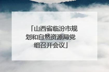 山西省临汾市规划和自然资源局党组召开会议