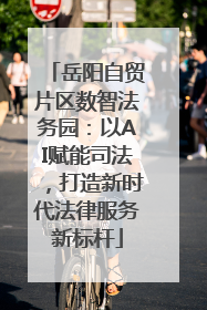 岳阳自贸片区数智法务园：以AI赋能司法，打造新时代法律服务新标杆