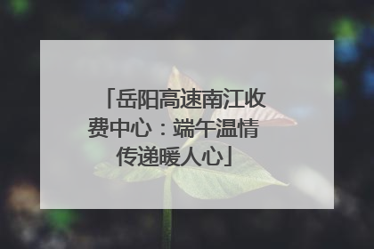 岳阳高速南江收费中心：端午温情传递暖人心