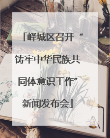 峄城区召开“铸牢中华民族共同体意识工作”新闻发布会