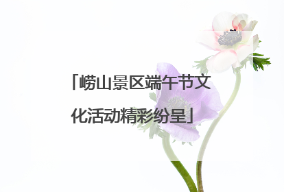 崂山景区端午节文化活动精彩纷呈