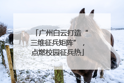 广州白云打造“三维征兵矩阵”，点燃校园征兵热