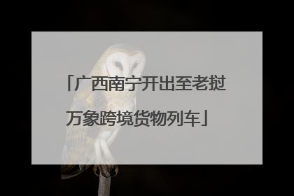 广西南宁开出至老挝万象跨境货物列车