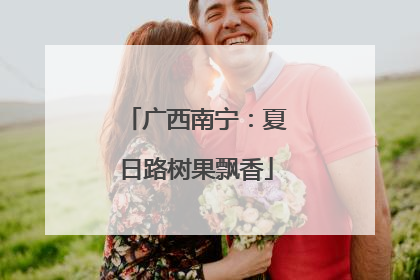 广西南宁：夏日路树果飘香