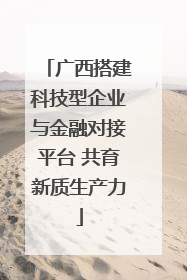 广西搭建科技型企业与金融对接平台 共育新质生产力