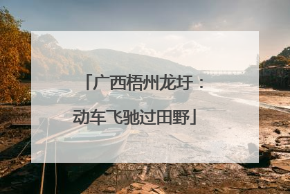 广西梧州龙圩：动车飞驰过田野