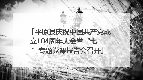 平原县庆祝中国共产党成立104周年大会暨“七一”专题党课报告会召开