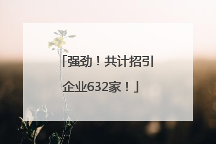 强劲！共计招引企业632家！