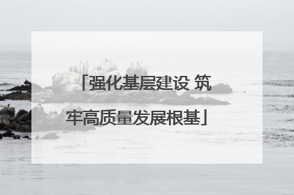 强化基层建设 筑牢高质量发展根基