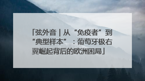 弦外音｜从“免疫者”到“典型样本”：葡萄牙极右翼崛起背后的欧洲困局