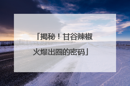 揭秘！甘谷辣椒火爆出圈的密码