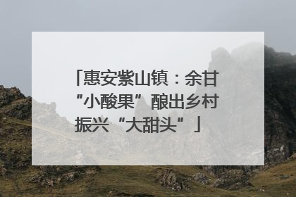 惠安紫山镇：余甘“小酸果”酿出乡村振兴“大甜头”