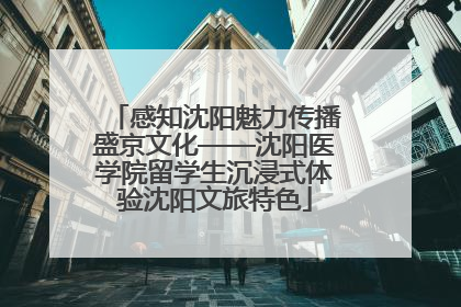 感知沈阳魅力传播盛京文化——沈阳医学院留学生沉浸式体验沈阳文旅特色
