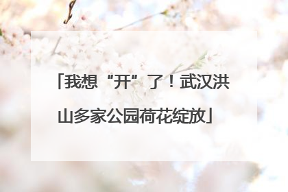 我想“开”了！武汉洪山多家公园荷花绽放