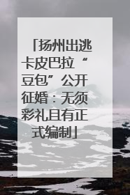扬州出逃卡皮巴拉“豆包”公开征婚：无须彩礼且有正式编制