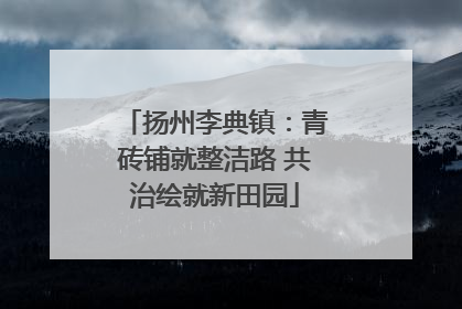 扬州李典镇：青砖铺就整洁路 共治绘就新田园