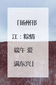 扬州邗江：粽情端午 爱满东兴
