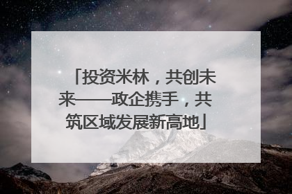 投资米林，共创未来——政企携手，共筑区域发展新高地
