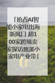 抢占AI智能小家电出海新风口 超100家跨境卖家探访慈溪小家电产业带