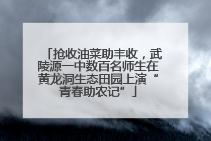 抢收油菜助丰收，武陵源一中数百名师生在黄龙洞生态田园上演“青春助农记”