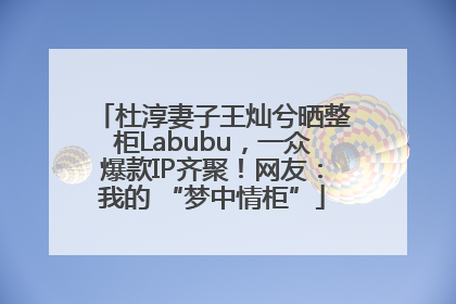 杜淳妻子王灿兮晒整柜Labubu，一众爆款IP齐聚！网友：我的 “梦中情柜”