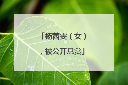 杨茜雯（女），被公开悬赏