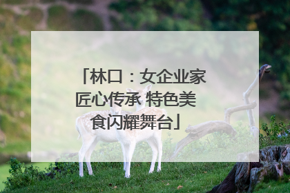 林口:女企业家匠心传承 特色美食闪耀舞台