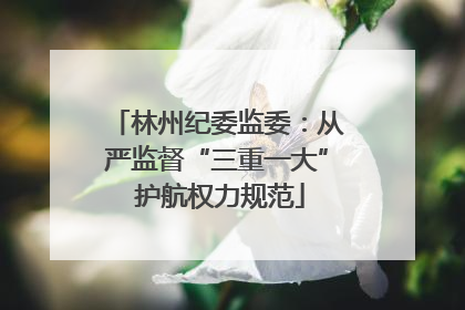 林州纪委监委：从严监督“三重一大” 护航权力规范