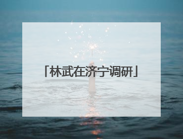 林武在济宁调研