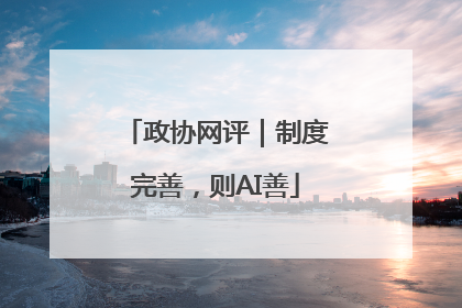 政协网评｜制度完善，则AI善