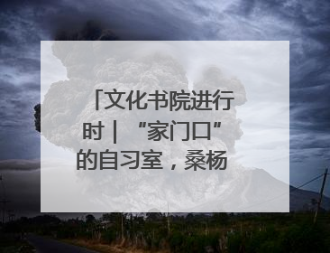 文化书院进行时｜“家门口”的自习室，桑杨社区织就15分钟学习生活圈