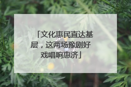文化惠民直达基层，这两场豫剧好戏唱响惠济
