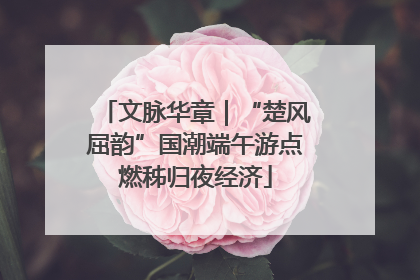 文脉华章｜“楚风屈韵”国潮端午游点燃秭归夜经济