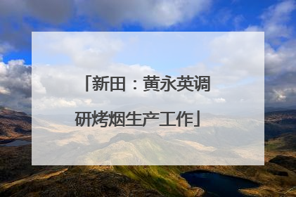 新田：黄永英调研烤烟生产工作