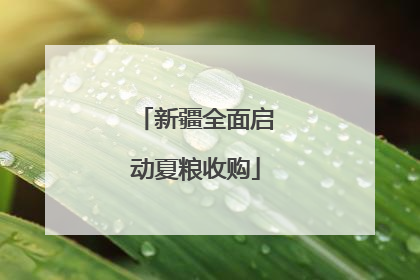 新疆全面启动夏粮收购
