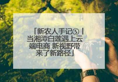 新农人手记⑤丨当湘潭白莲遇上云端电商 新视野带来了新路径
