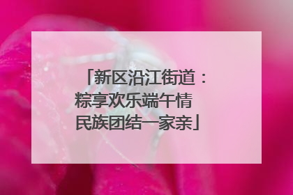 新区沿江街道：粽享欢乐端午情 民族团结一家亲