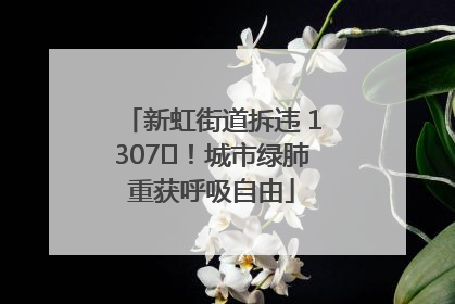 新虹街道拆违 1307㎡！城市绿肺重获呼吸自由