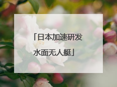 日本加速研发水面无人艇