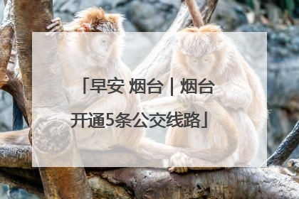 早安 烟台｜烟台开通5条公交线路