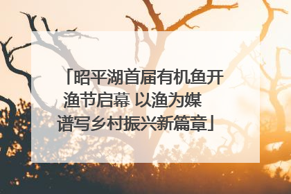 昭平湖首届有机鱼开渔节启幕 以渔为媒 谱写乡村振兴新篇章