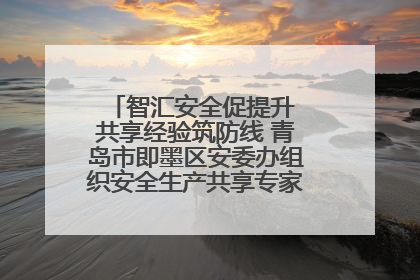 智汇安全促提升 共享经验筑防线 青岛市即墨区安委办组织安全生产共享专家现场观摩学习活动