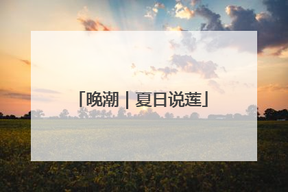 晚潮｜夏日说莲